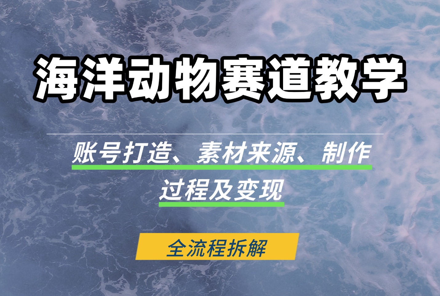 海洋动物赛道教学:账号打造、素材来源、制作过程及变现-亮剑学堂